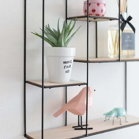 Restyled With Great View * 海牙